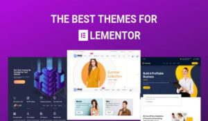 Theme Wordpress sử dụng Elementor